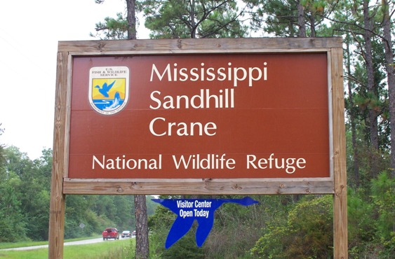 MS Sandhill Crane NWR