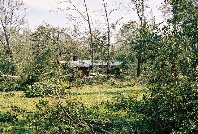 home_30Aug_05.jpg - Our first sight of our house upon entering the driveway. Over 20 trees in all downed on our property.