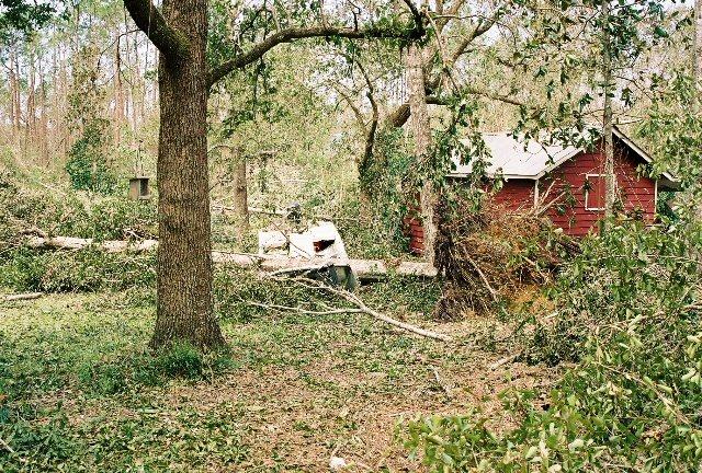 home_30Aug_08.jpg - That's my small skiff burried under a few large trees.