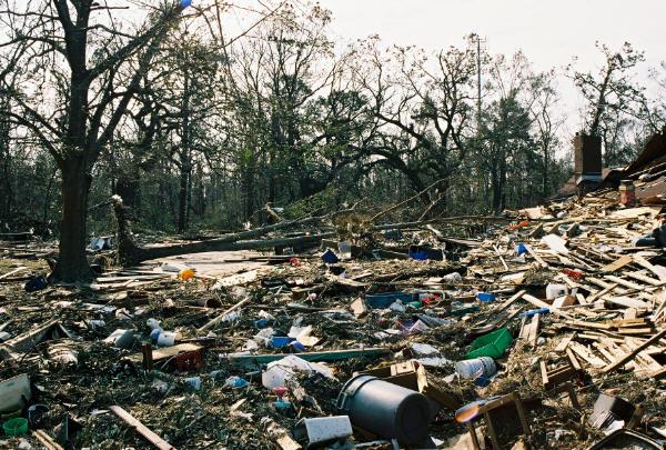 moms_house04.jpg - A view from the street looking towards the driveway of my mom's house. The debris in the street here was several feed deep.