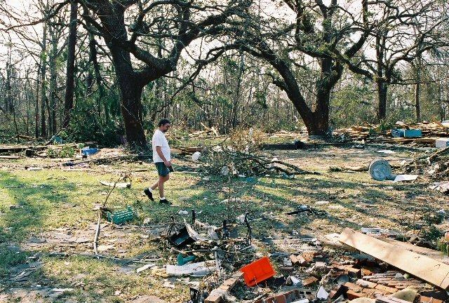 moms_house10.jpg - Me surveying the devastation. This was in my mom's back yard.