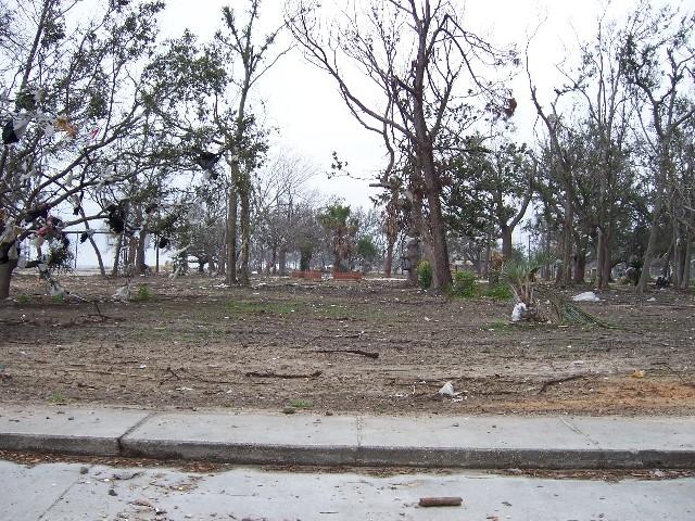 coast_post_katrina_034.JPG - Long Beach - sidestreet, homes once stood here